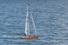 IOM-NM-2026_BF-239706