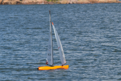 IOM-NM-2026_BF-239707