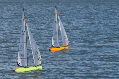 IOM-NM-2026_BF-239712