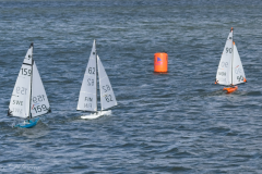 IOM-NM-2026_BF-239828
